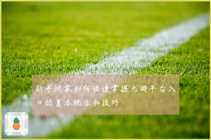 新手玩家如何快速掌握九游平台入口的基本玩法和技巧