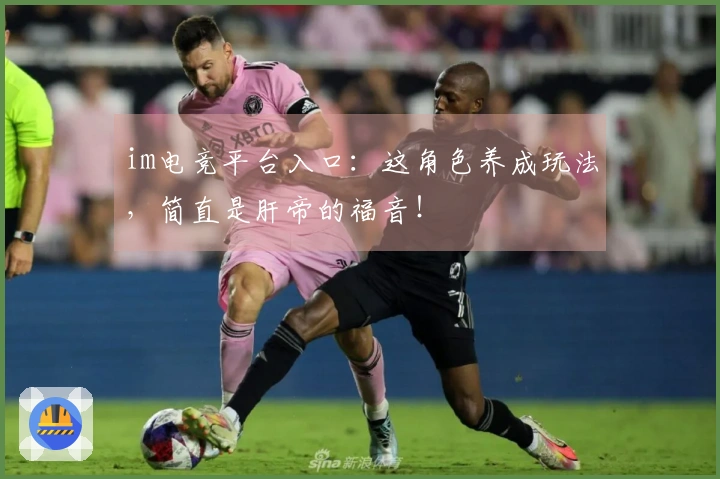 im电竞平台入口：这角色养成玩法，简直是肝帝的福音！