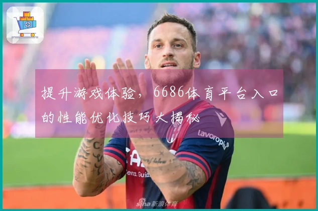 提升游戏体验，6686体育平台入口的性能优化技巧大揭秘
